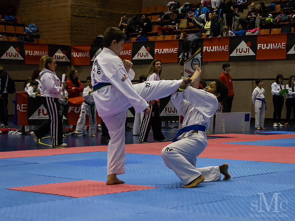 OPEN BARCELONA FUJI MAE CUP 2017_DSC8524_0075.JPG